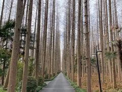 -上海怡沁园度假酒店