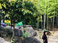 -众神白水涧景区