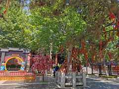 -青岛方特梦幻王国