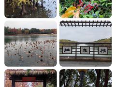 -虎丘湿地公园