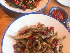 -印象鲵宴·张家界地标美食名片(溪布街店)