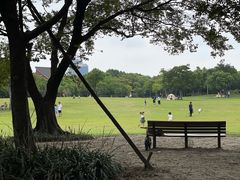-上海吴淞炮台湾国家湿地公园