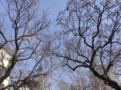 -衡山路(地铁站)