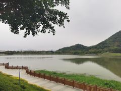 -风云岭森林公园