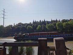 -运河游船(武林门码头)