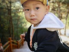 -白羊峪长城旅游区