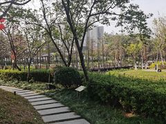-映月湖公园