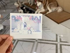 -星多哈·狗咖·拼豆·咖啡