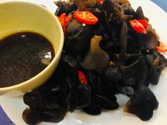 -莒县世起全羊馆(塔桥人家店)