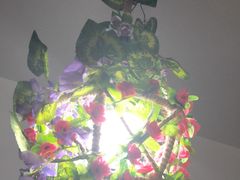 -忘忧草融合私房菜(红鼎国际店)
