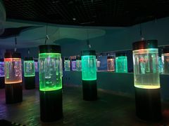 -苏州海洋馆