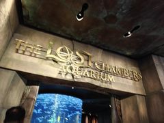 -迪拜水族馆及水下动物园
