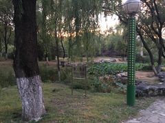 -永定河休闲森林公园