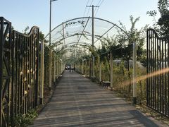 -上海长兴岛郊野公园