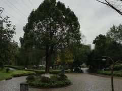 -重庆彩云湖湿地公园