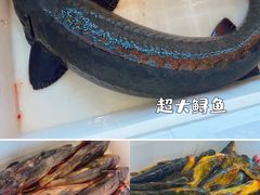 -江湖水乡铁锅炖魚(周庄嘉园店)