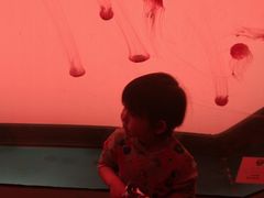 -沈阳海洋探索中心