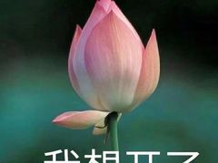 -DQ(建邺万达店)
