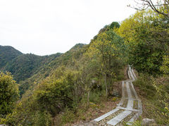 -午潮山国家森林公园
