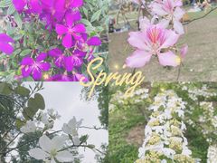 -中国科学院华南植物园