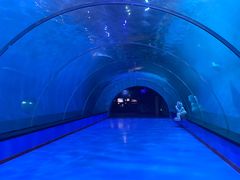 -海合安青岛极地海洋公园