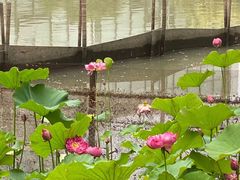 -金桥现代产业园区-停车场