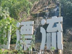 -长沙黑麋峰国家森林公园