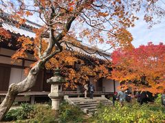 -常寂光寺