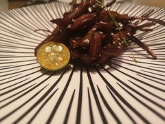 -莲·中餐厅(成都首座万豪酒店)