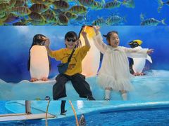 -海合安成都极地海洋公园