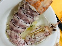 濑尿虾-蚝专家(北滘店)