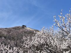 -慕田峪长城