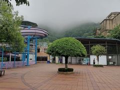 -重庆海昌加勒比海水世界