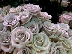 -一花一忆(松榆里市场店)