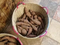 -顺德了能馆(虎门店)