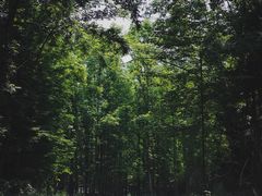 -桤木河湿地公园