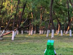 -长白岛森林公园