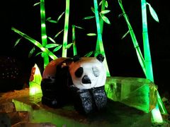 -长春公园(普阳街道)