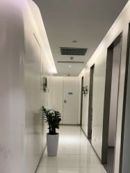 -agge蛋白医美