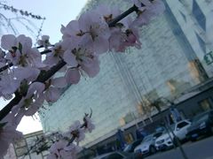 -红星美凯龙北京至尊MALL(东四环中路店)