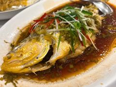 -老吉士酒家(天平路店)