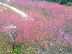 -福清灵石山国家森林公园