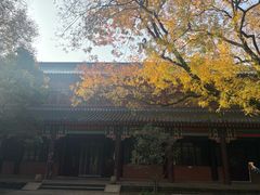 -灵谷景区