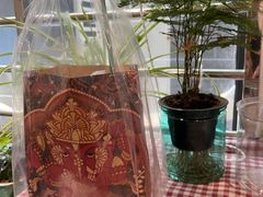 -泰茶清吾·老挝冰咖啡·绵绵冰(泉州首店)