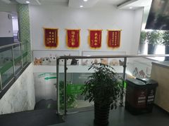 -爱侣宠医·鹦鹉专科·小型哺乳类·异宠专科(灵石路店)