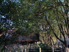 -白马涧龙池景区