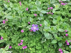 -杭州城北体育公园