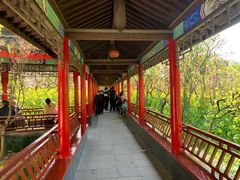 -南汇桃花村