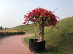 -南通洲际绿博园