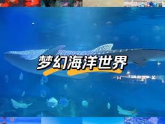 -烟台海昌鲸鲨海洋公园